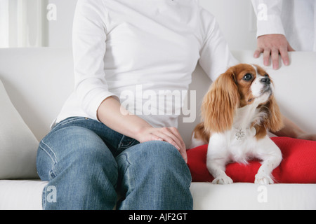 Jeune couple et Cavalier King Charles Spaniel Banque D'Images