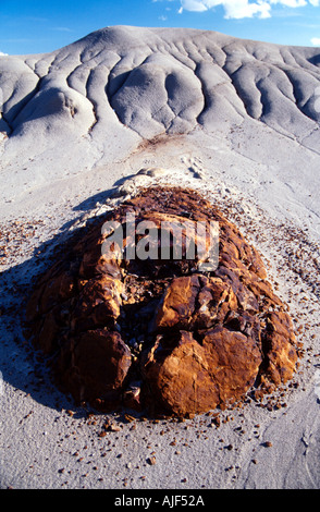 Un riche fer Boulder dans le parc provincial Dinosaur, en Alberta, Canada Banque D'Images