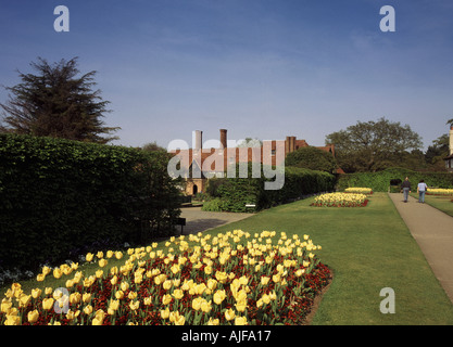 UK Surrey Royal Horticultural Society tulipes Wisley en premier plan Banque D'Images