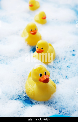 Rangée de canards en caoutchouc dans un bain de mousse, portrait, close-up Banque D'Images