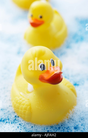 Rangée de canards en caoutchouc dans un bain de mousse, portrait, close-up Banque D'Images