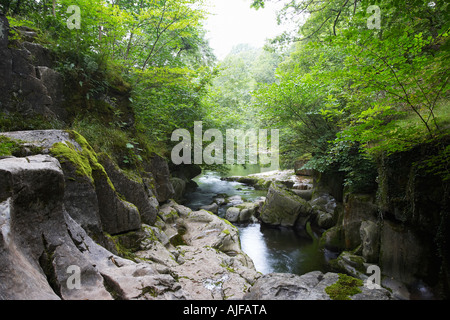 Entrée de Porth, Yr Ogof grotte près de Pontneddfechan dans le sud du Pays de Galles UK Banque D'Images