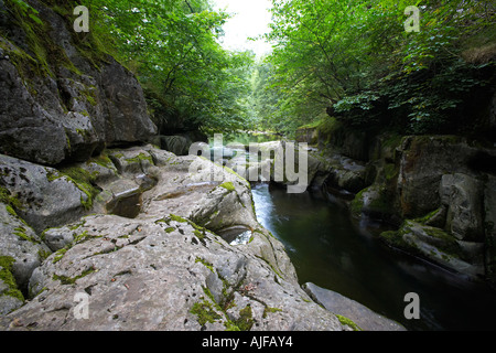 Entrée de Porth, Yr Ogof grotte près de Pontneddfechan dans le sud du Pays de Galles UK Banque D'Images