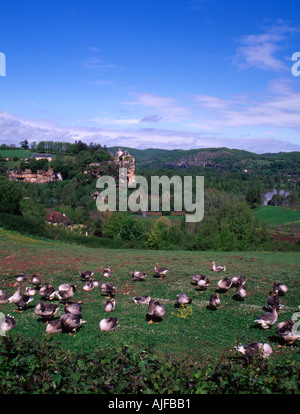 Domaine des Neiges dans le Dordogne Foie gras gastronomie campagne Banque D'Images