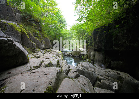 Entrée de Porth, Yr Ogof grotte près de Pontneddfechan dans le sud du Pays de Galles UK Banque D'Images