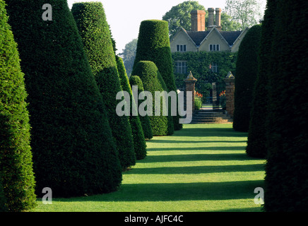 Le grand jardin d'if à Packwood House Warwickshire administré par le National Trust Banque D'Images