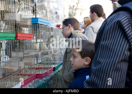 Les enfants regardant les oiseaux sur un marché aux puces Banque D'Images