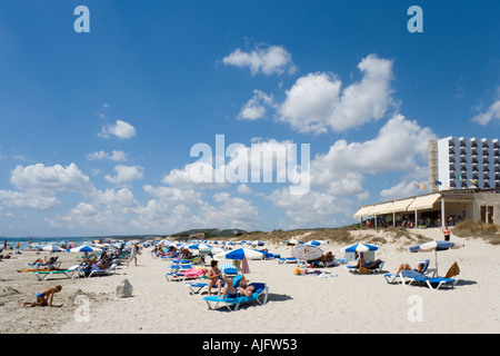 Plage de Son Bou, près de l'hôtel Sol Milanos Pinguinos/, Minorque, Iles Baléares, Espagne Banque D'Images