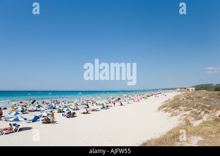 Plage de Son Bou, Minorque, Iles Baléares, Espagne Banque D'Images