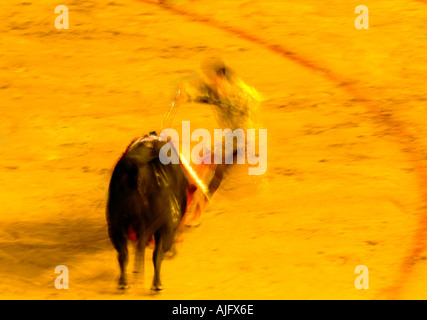 À propos de torero de poignarder bull avec épée Real Maestranza Séville Espagne Banque D'Images