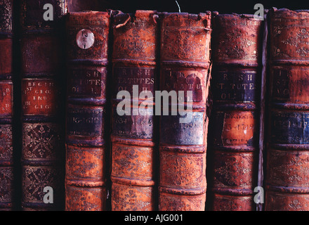 Livres reliés en cuir antique sur des étagères en décomposition dans la bibliothèque de marais à côté de la Cathédrale St Patrick Dublin Ireland Banque D'Images