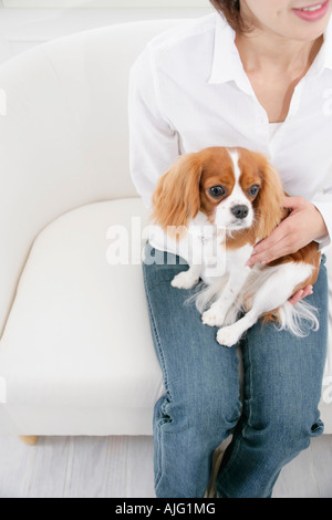 Jeune femme et Cavalier King Charles Spaniel Banque D'Images