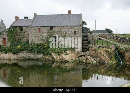 Annalong cornmill restauré avec roue à eau à côté d'annalong Harbour et annalong river comté de Down en Irlande du Nord Banque D'Images