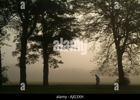 Personne âgée marche à travers un parc de brouillard Banque D'Images