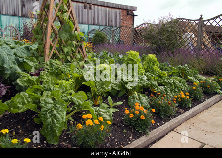 Au jardin potager bio, Ryton, Warwickshire Banque D'Images