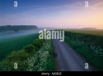 La route de Charlton Horethorne Somerset England UK Banque D'Images