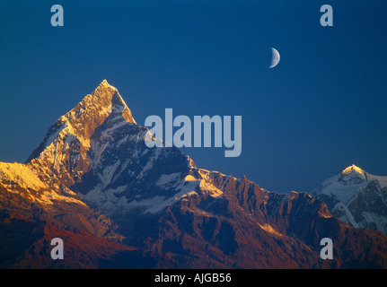 En y Machhapuchhare montagne sacrée avec la lune Annapurna Himalaya Népal Banque D'Images