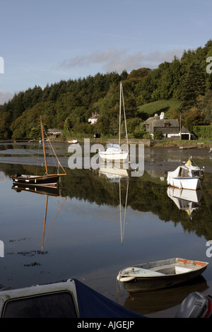 La fin de l'été avec toujours de l'eau sur la rivière, au village de Cornouailles Lerryn près de Fowey Banque D'Images