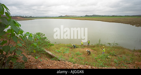 Les banques de l'ancienne mine à ciel ouvert à la revégétalisation montrant la mine d'or de surface au Ghana, Afrique de l'Ouest Banque D'Images