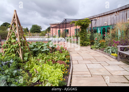 Au jardin potager bio, Ryton, Warwickshire Banque D'Images