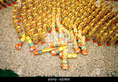 Lapins de Pâques au chocolat Banque D'Images