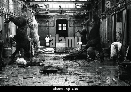 Abattoir FRANCE PARIS VAUGIRARD EN 1976 Banque D'Images