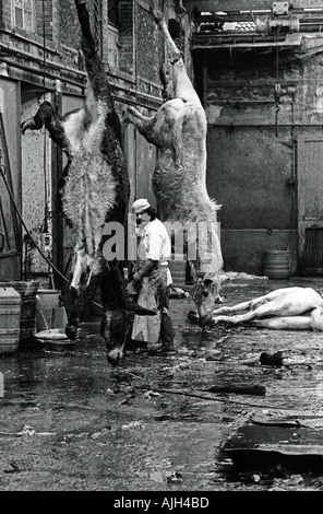 Abattoir FRANCE PARIS VAUGIRARD EN 1976 Banque D'Images