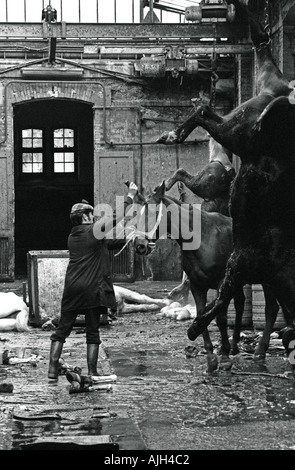 Abattoir FRANCE PARIS VAUGIRARD EN 1976 Banque D'Images