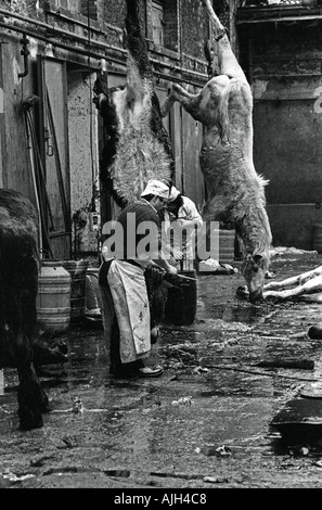 Abattoir FRANCE PARIS VAUGIRARD EN 1976 Banque D'Images