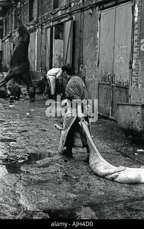 Abattoir FRANCE PARIS VAUGIRARD EN 1976 Banque D'Images