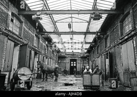 Abattoir FRANCE PARIS VAUGIRARD EN 1976 Banque D'Images