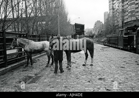 Abattoir FRANCE PARIS VAUGIRARD EN 1976 Banque D'Images