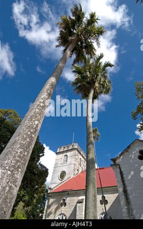 Palmiers en face de la cathédrale Saint Michael's à Bridgetown, Barbade Banque D'Images