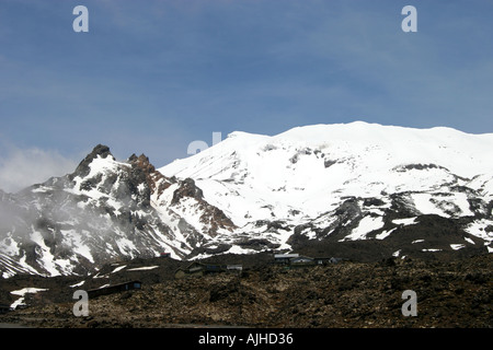 Les pinacles au Bruce Mt Ruapehu avec des maisons construites sur la pierre de lave volcanique presque invisible New Zealand North Island Banque D'Images