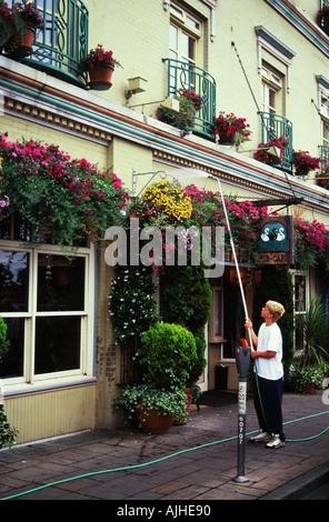 Jeune homme waters paniers de fleurs suspendus aux cygnes Hôtel et pub, Victoria British Columbia Canada Banque D'Images