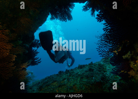 France Marseille l'île de Riou, l'Imperial De Terre un plongeur de sortir d'une grotte Banque D'Images