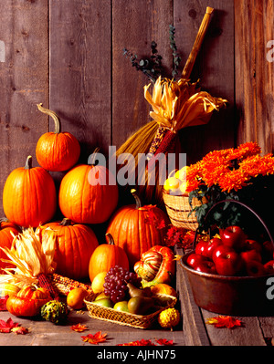 Automne Nature morte avec les citrouilles et les légumes de saison et les gourdes sur un fond old weathered terranova Banque D'Images