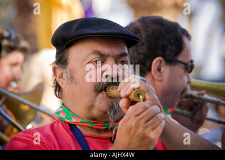 Musicien à la Fête des Vendanges Banyuls sur Mer France Banque D'Images