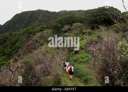 Les gens, les touristes, les promeneurs, les randonneurs, sentier de randonnée, randonnées, entre la vallée et la vallée de Makamakaole Waihee, montagnes de West Maui, l'Ouest de Maui, Maui, Hawaii Banque D'Images