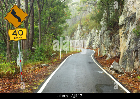 Route de Parc National de Springbrook Arrière-pays de la Gold Coast Queensland Australie Banque D'Images