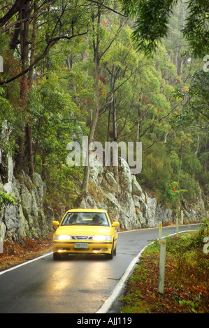 Route de Parc National de Springbrook Arrière-pays de la Gold Coast Queensland Australie Banque D'Images