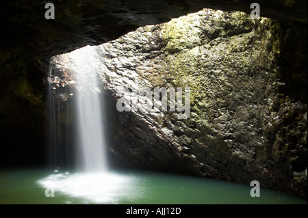 Cascade du pont naturel Parc national de Springbrook Arrière-pays de la Gold Coast Queensland Australie Banque D'Images