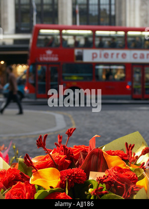 Soirée le trafic et de décrochage de fleurs sur Kensington High Street Royal Borough of Kensington Chelsea London England UK Banque D'Images