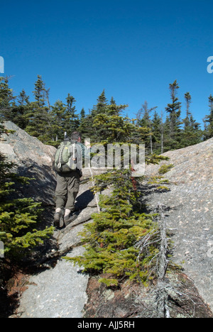 Randonnées dans les Montagnes Blanches du New Hampshire USA, qui fait partie de la Nouvelle Angleterre USA Banque D'Images