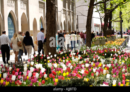 Shopping sur Magnificent Mile Banque D'Images