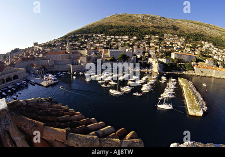 Kroatien Dalmatien Dubrovnik - Altstadt und Hafen von Dubrovnik Croatie | Dalmatie Dubrovnik - Vieille ville centre et du port Banque D'Images