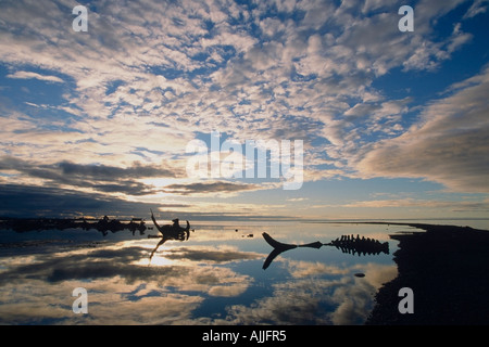 Des squelettes de baleines boréales coucher du soleil le long du littoral de l'île de barrière Arctic National Wildlife Refuge AK Banque D'Images