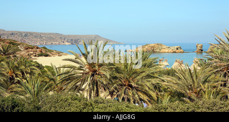 La plage de Vai est de la crète vue sur une partie de la célèbre palmeraie Banque D'Images