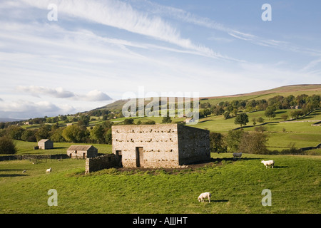 Terres agricoles à l'échelle du paysage rural typique dans la vallée de Wensleydale Yorkshire Dales National Park North Yorkshire Angleterre Royaume-uni Grande-Bretagne Banque D'Images