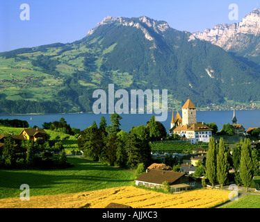 CH - Oberland bernois : Château de Spiez au bord du lac de Thoune Banque D'Images